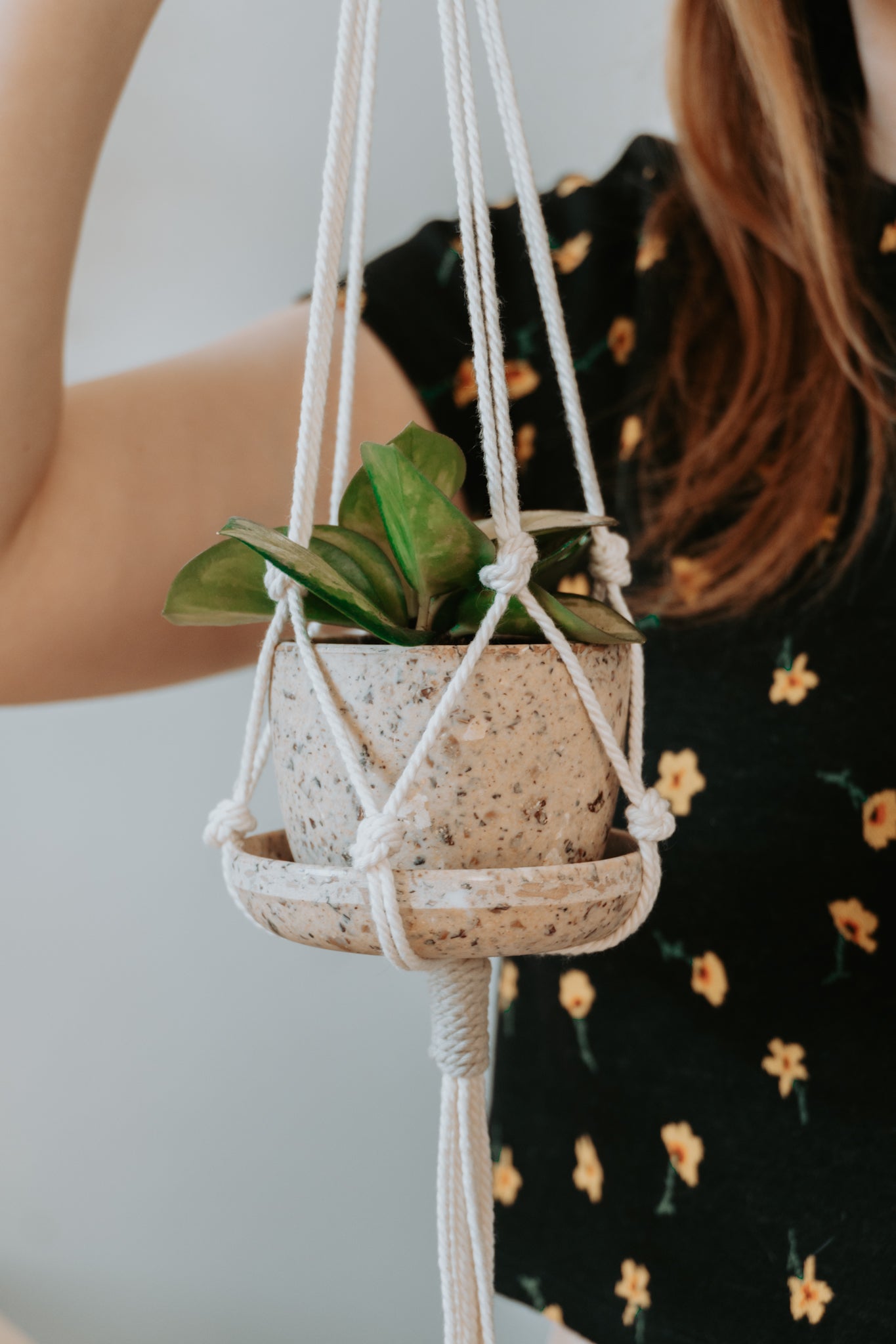 Jardinière PLCO x Mano Verde