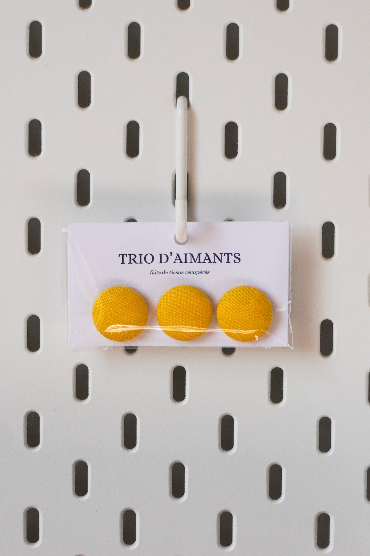 Trio d'aimants - POUSSIN