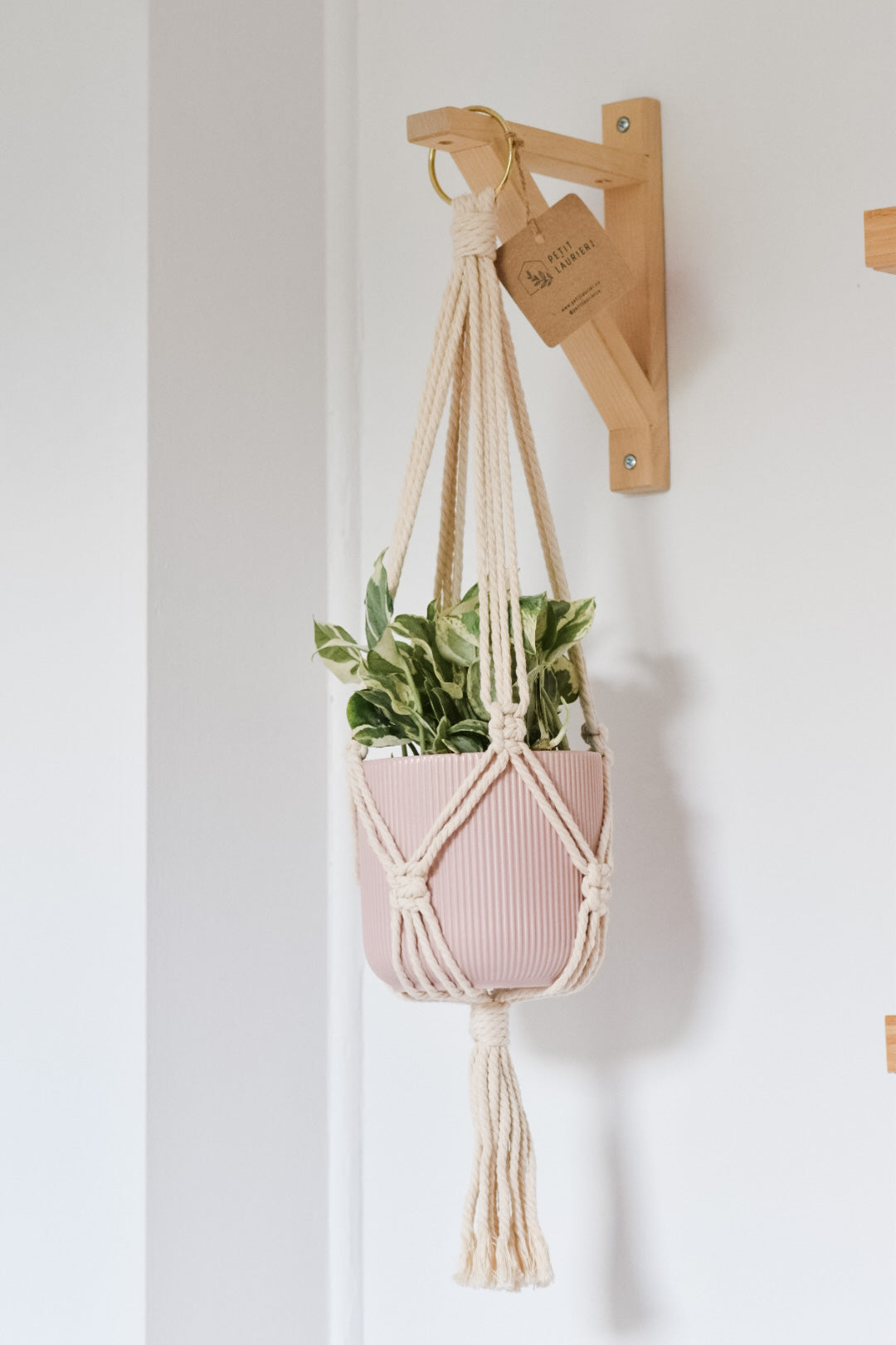 Jardinière en macramé - Minimaliste