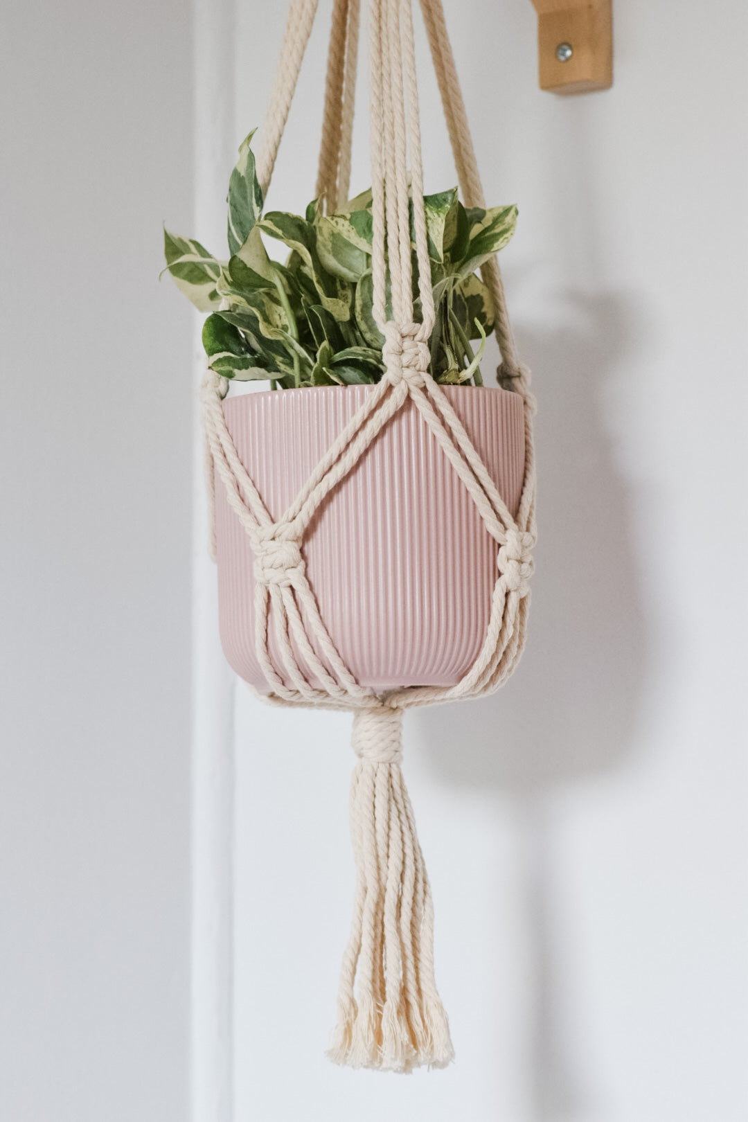 Jardinière en macramé - Minimaliste